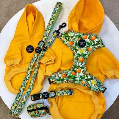 Dog Hoodie - Sunflower Yellow