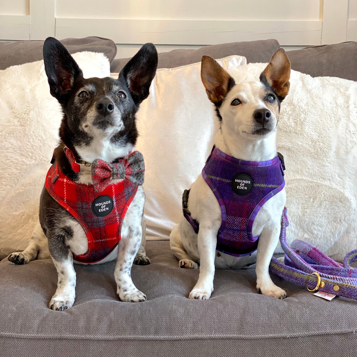'Sammi' - Red & Grey Check Dog Harness