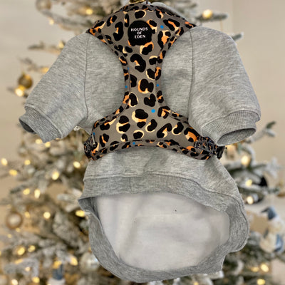 Dog Hoodie - Grey