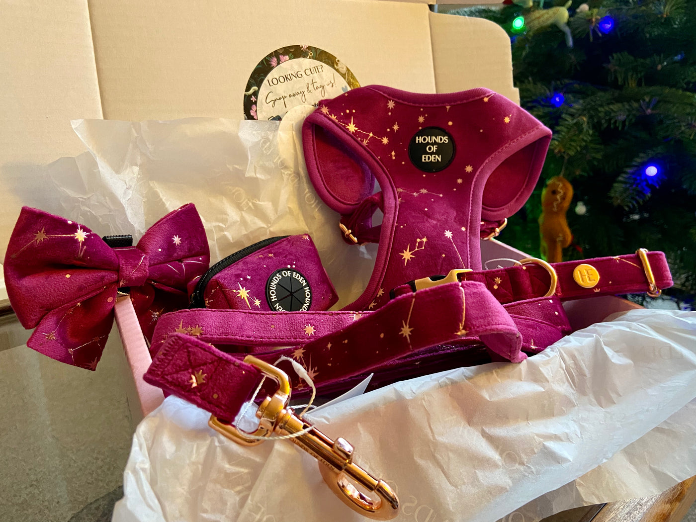 Magenta Sky Velvet Lead