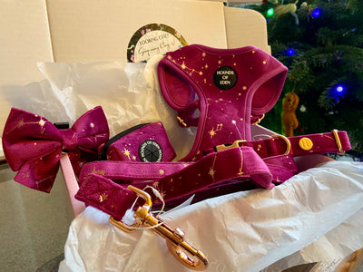 Magenta Sky Velvet Lead
