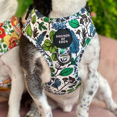 Ferntastic - Green Botanical Dog Harness
