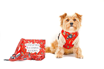 The Foxy Nutcracker - Christmas 'Jumper' Reversible Dog Harness