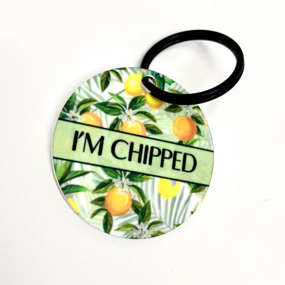 'Squeeze Me' - Citrus Dog Collar