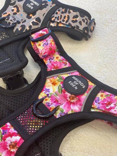 Supaw Strong™ 'Florentina' Utility Harness