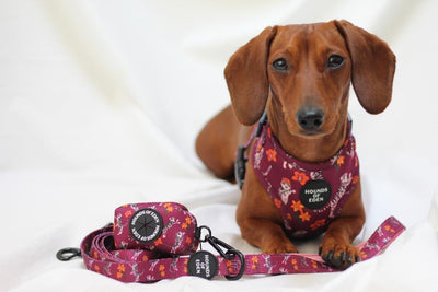 'Tiger Lily' - Magenta Pink Tiger Pattern Dog Harness