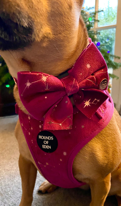 Magenta Sky Velvet Harness