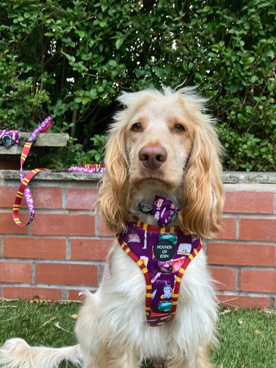 Harry Pawter Design Dog Harness