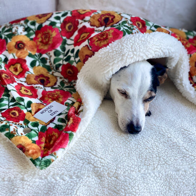 OUTLET - Bee You-tiful Dog Snuggle Blanket