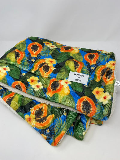 Outlet - PUPAYA DOG SNUGGLE BLANKET- 0003
