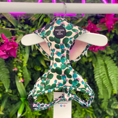 Looking Sharp - Green Cactus and Pink Dog Collar