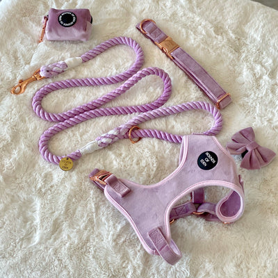 Lilac Dreams - Lilac Cotton Rope Lead - Rose Gold Hardware