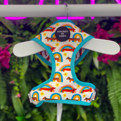 Sizzlin’ Sausages - Dachshund Reversible Dog Harness
