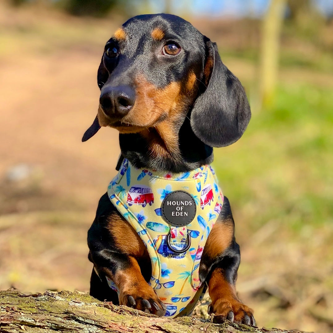 Surf's Up!- Design Poop Bag Holder