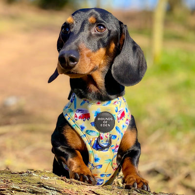 Surf's Up!- Design Poop Bag Holder