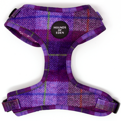 'Molly' Harris Tweed Dog Collar