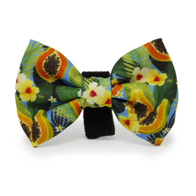 Pupaya Design Dog Collar