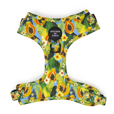 Pupaya Design Dog Harness