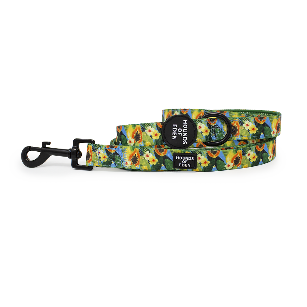 Pupaya Design Dog Lead