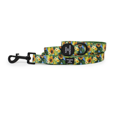 Pupaya Design Dog Collar