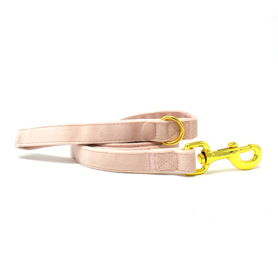 Pure Peony - Pink Velvet Dog Lead with Gold Hardware