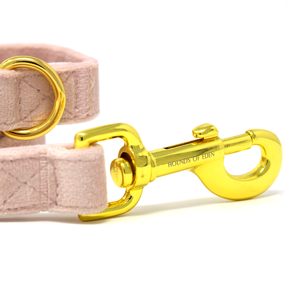 Pure Peony - Pink Velvet Dog Collar with Gold Metal Hardware