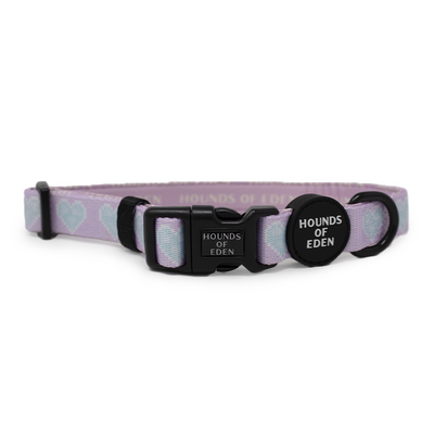 Don’t Go Barking My Heart - Pink and Teal Hearts Dog Harness