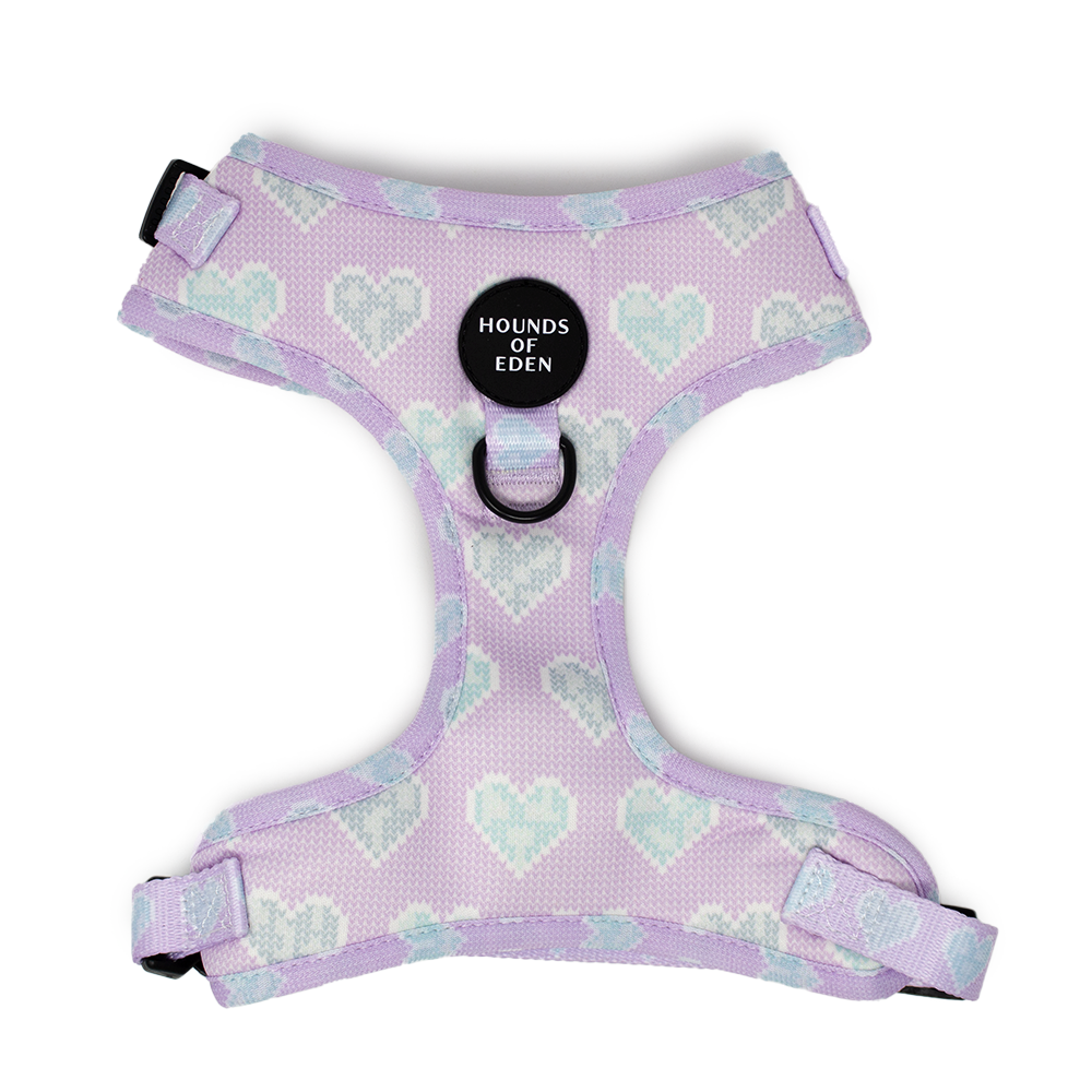 Don’t Go Barking My Heart - Pink and Teal Hearts Dog Collar