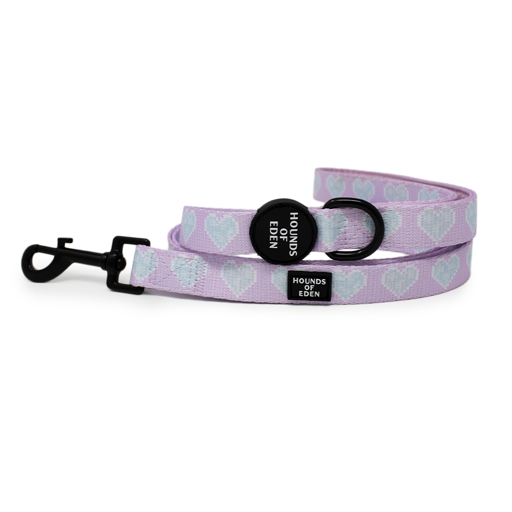 Don’t Go Barking My Heart - Pink and Teal hearts Dog Lead