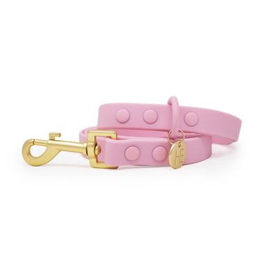 Candy floss Pink 'All Weather' Dog Lead