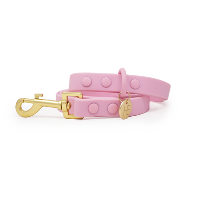 Candy floss Pink 'All Weather' Dog Collar