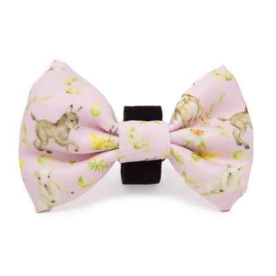 SPRING BABIES - Design Dog Harness