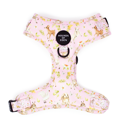 SPRING BABIES - Design Dog Harness