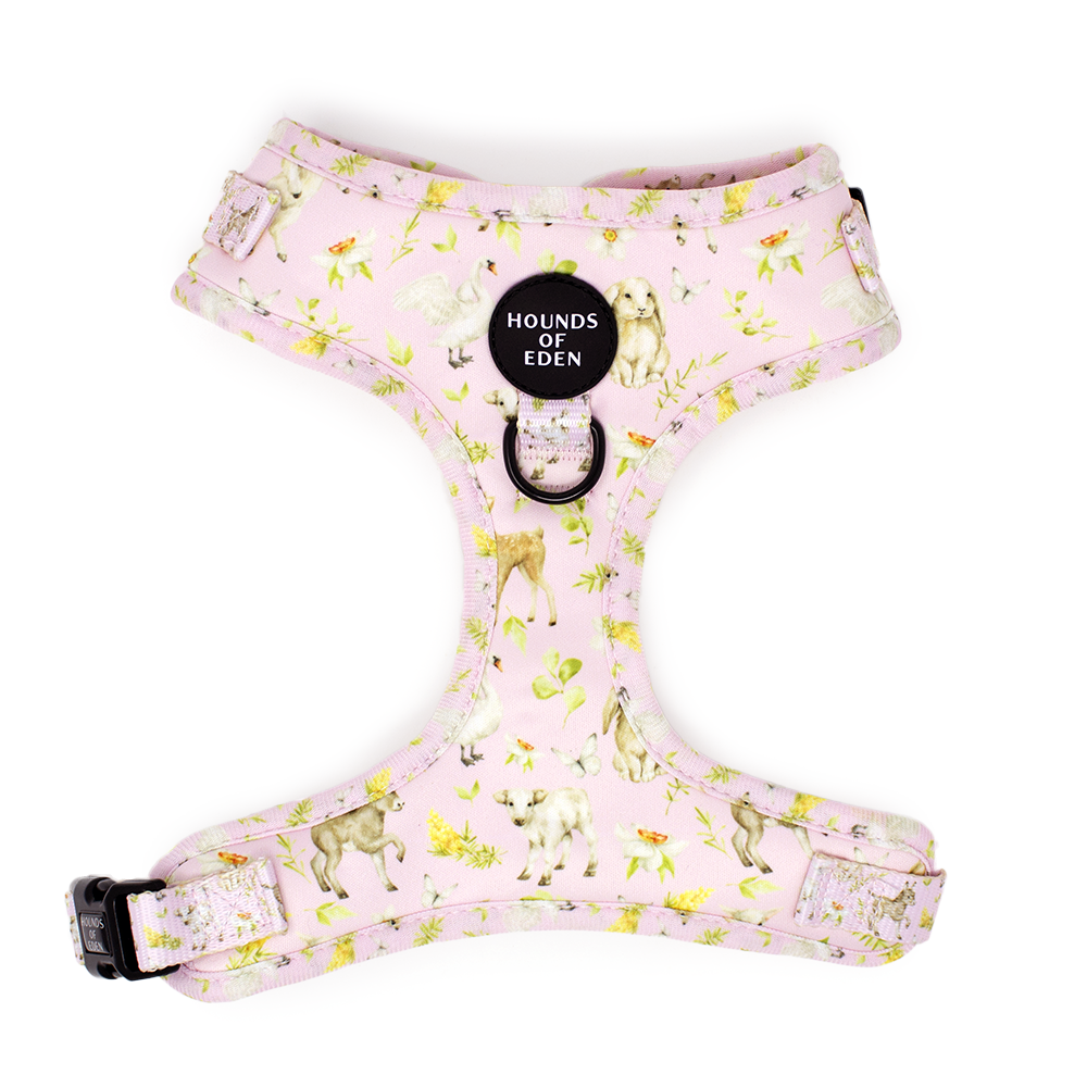 SPRING BABIES - Design Dog Harness