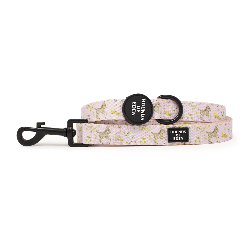 SPRING BABIES - Design Dog Lead