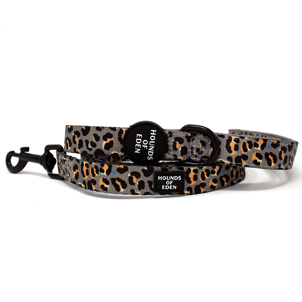 'Steel Leopard' - Khaki/Grey Dog Collar