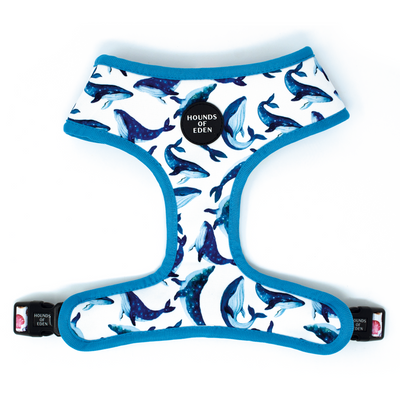 'Whale of a Time' - Sea Themed Reversible Dog Harness
