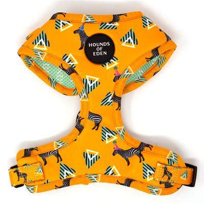 'Party Marty' - Zebra Dog Harness